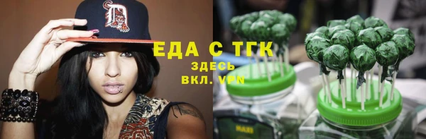 индика Осташков