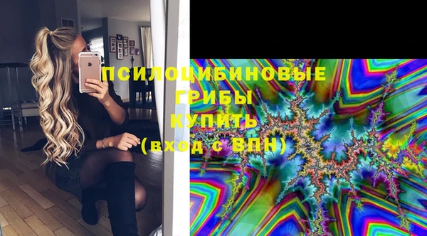 прущие грибы Осинники