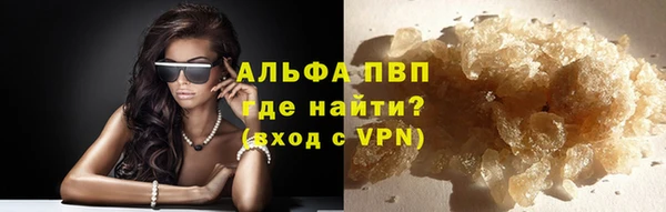 индика Осташков