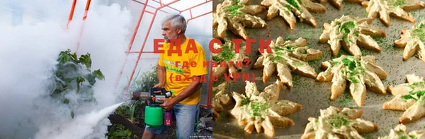 прущие грибы Осинники